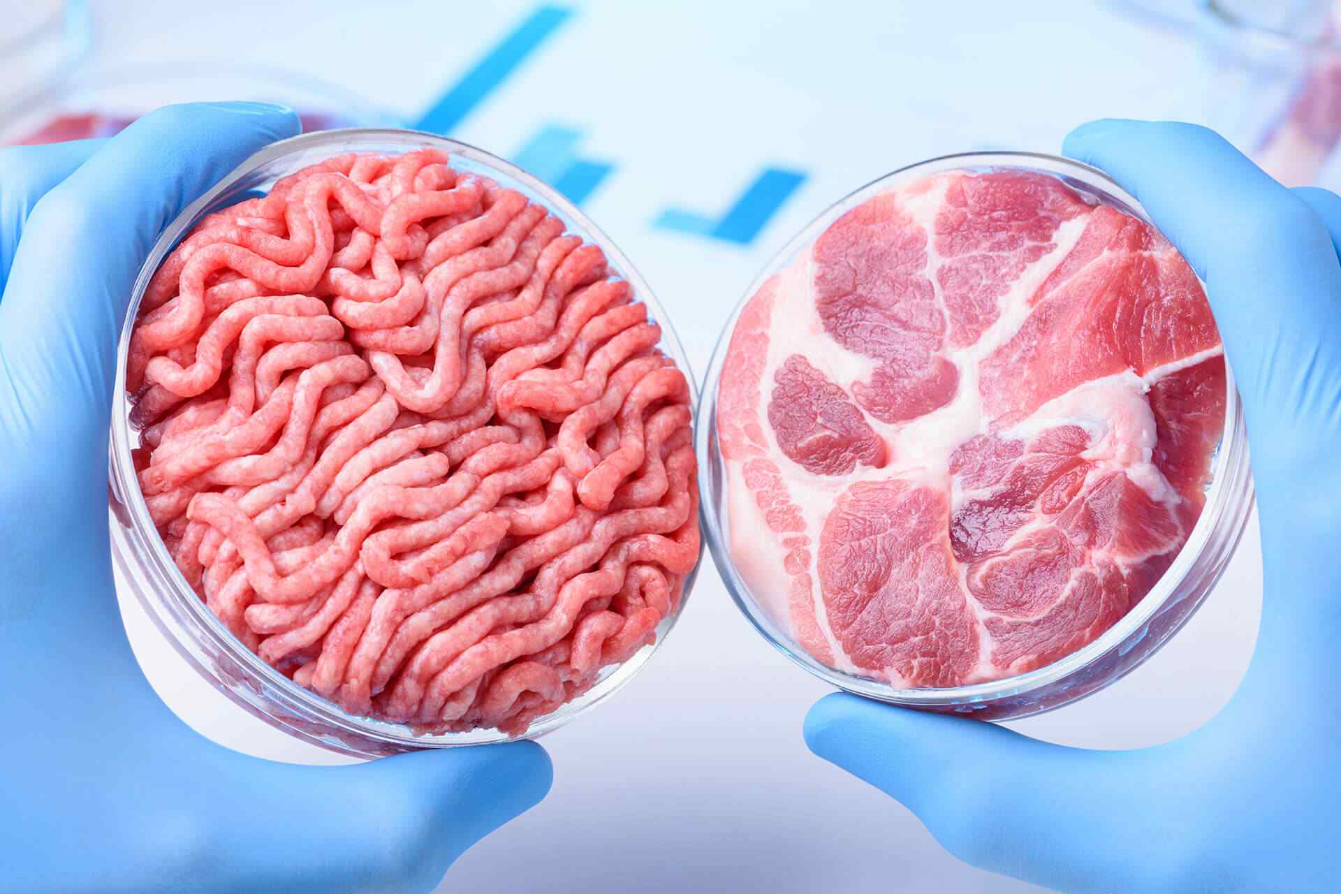 portfolio_05 portfolio_05